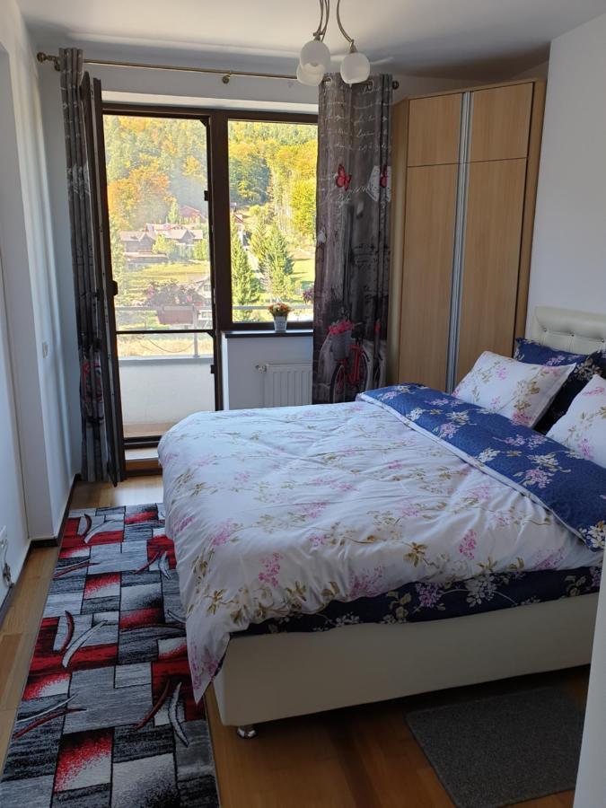 Sophie Apartament Apartament Sinaia Zewnętrze zdjęcie