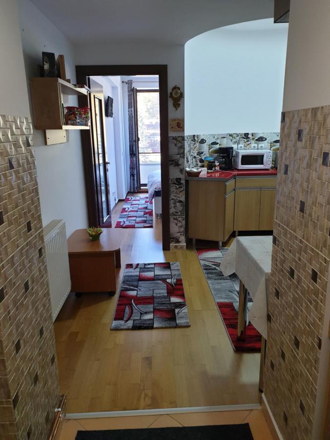 Sophie Apartament Apartament Sinaia Zewnętrze zdjęcie