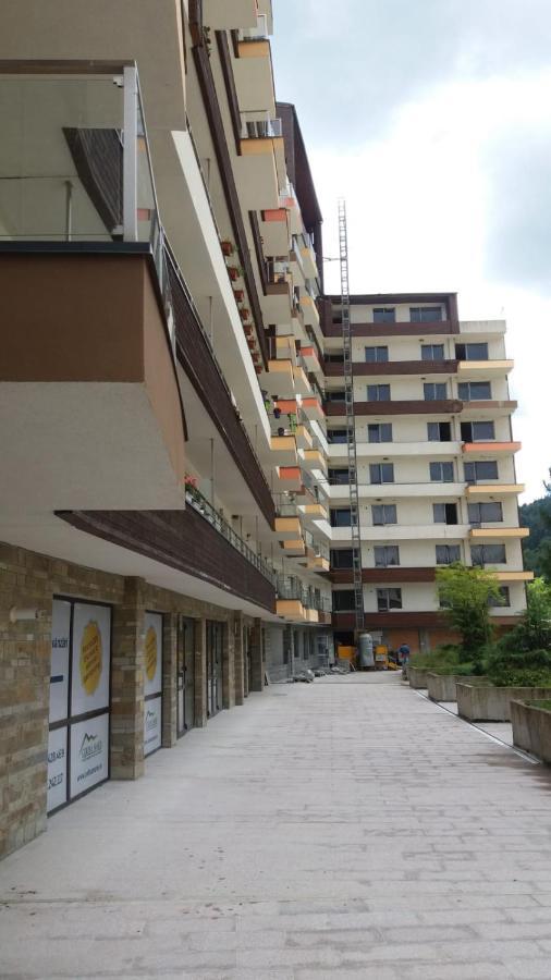 Sophie Apartament Apartament Sinaia Zewnętrze zdjęcie