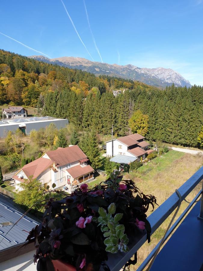 Sophie Apartament Apartament Sinaia Zewnętrze zdjęcie