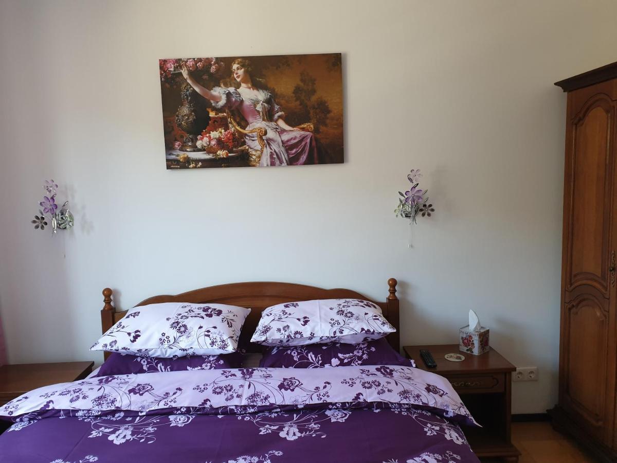 Sophie Apartament Apartament Sinaia Zewnętrze zdjęcie