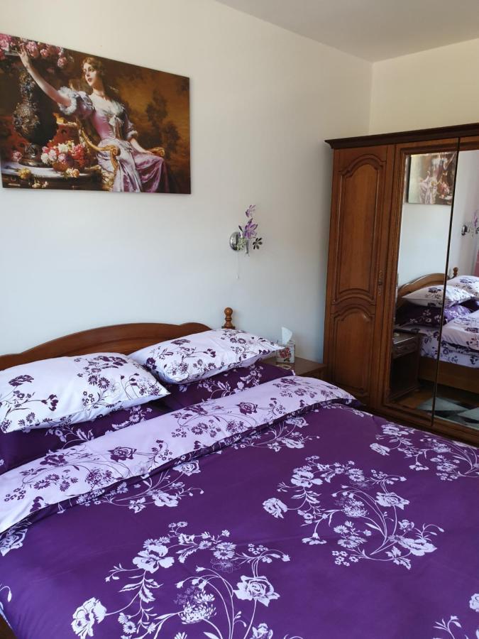 Sophie Apartament Apartament Sinaia Zewnętrze zdjęcie