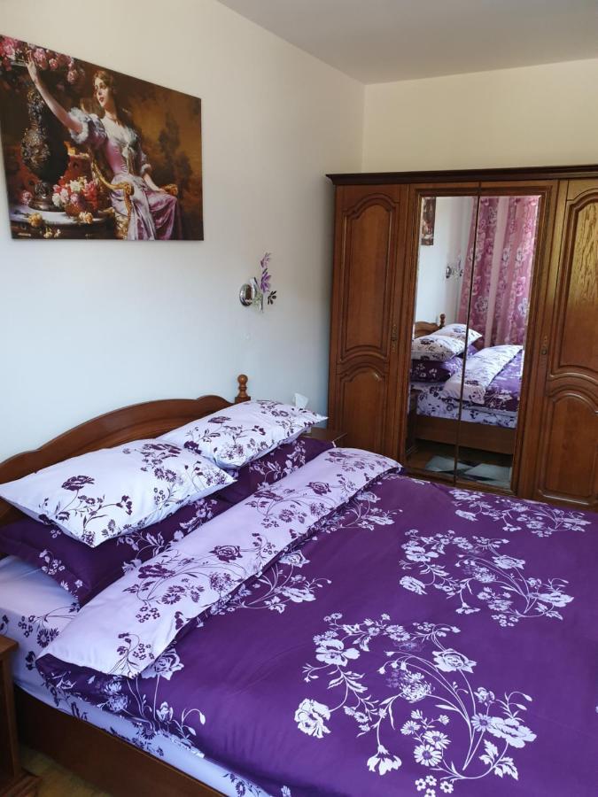 Sophie Apartament Apartament Sinaia Zewnętrze zdjęcie
