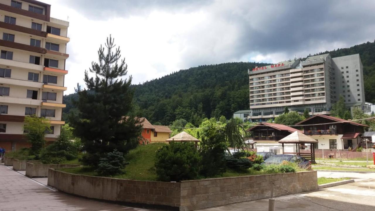 Sophie Apartament Apartament Sinaia Zewnętrze zdjęcie