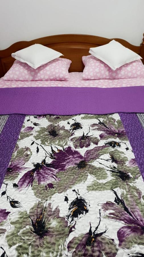 Sophie Apartament Apartament Sinaia Zewnętrze zdjęcie