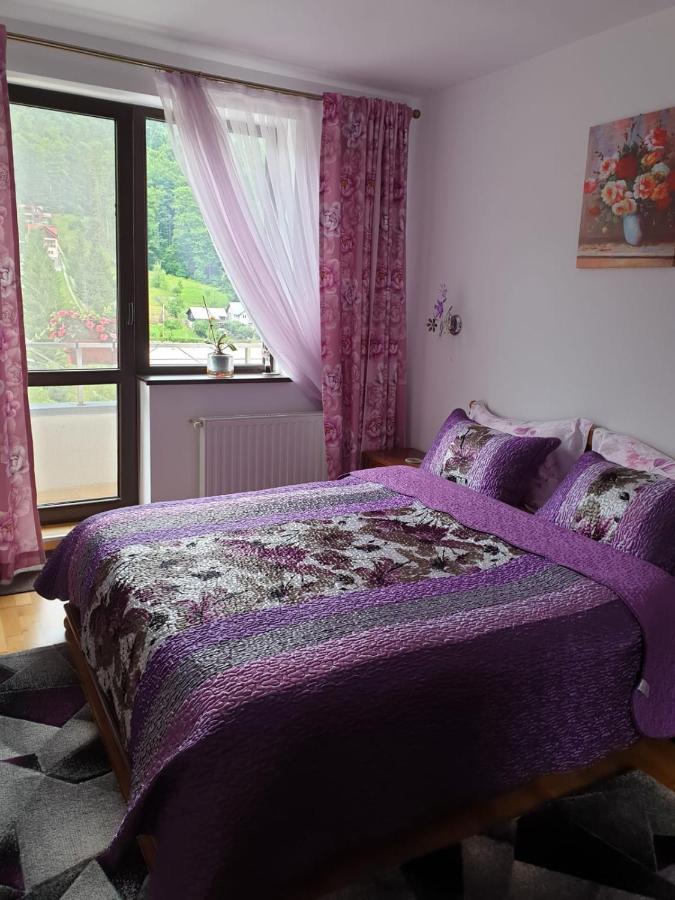 Sophie Apartament Apartament Sinaia Zewnętrze zdjęcie