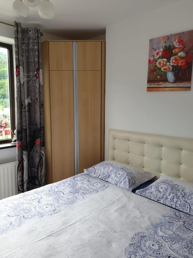 Sophie Apartament Apartament Sinaia Zewnętrze zdjęcie