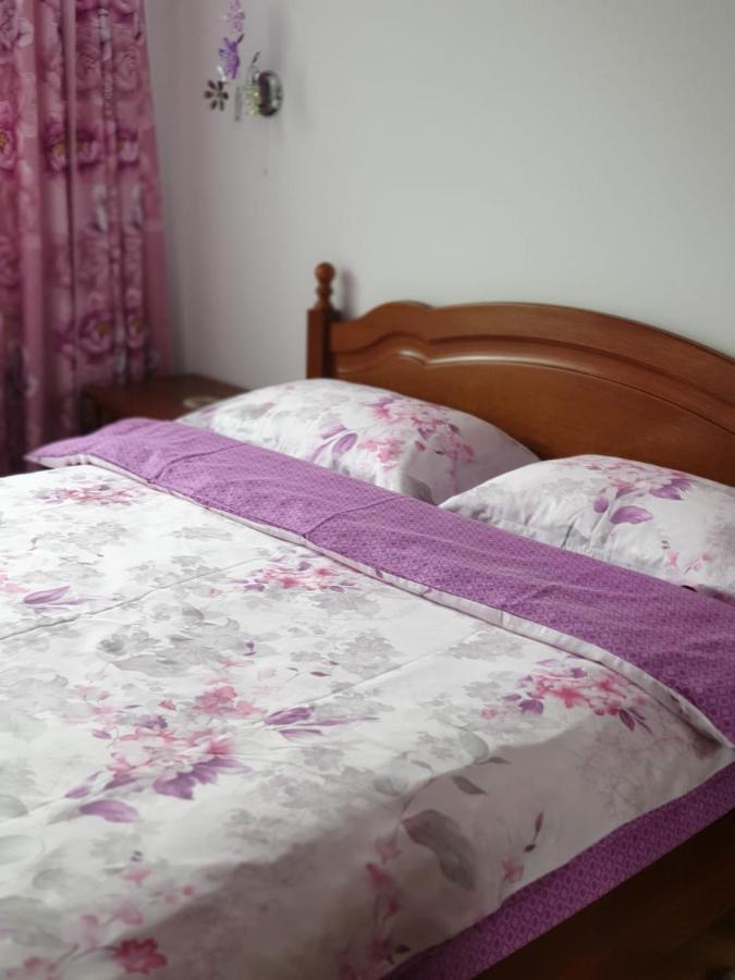 Sophie Apartament Apartament Sinaia Zewnętrze zdjęcie