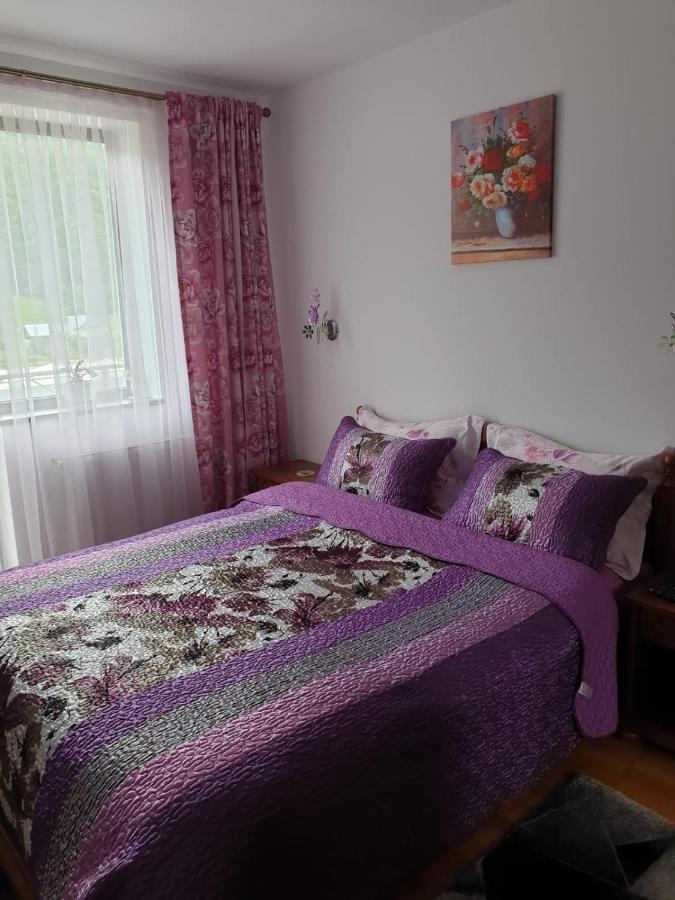 Sophie Apartament Apartament Sinaia Zewnętrze zdjęcie