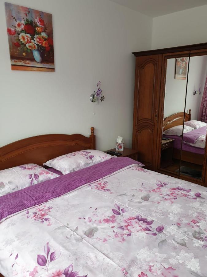 Sophie Apartament Apartament Sinaia Zewnętrze zdjęcie