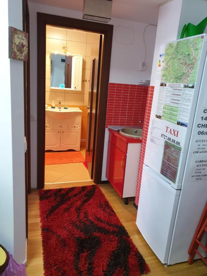 Sophie Apartament Apartament Sinaia Zewnętrze zdjęcie