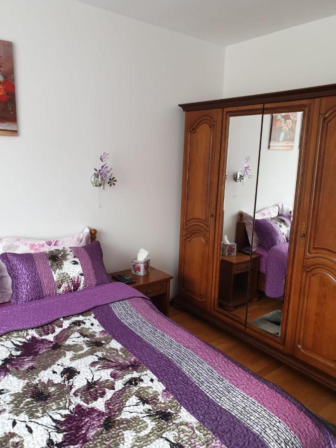Sophie Apartament Apartament Sinaia Zewnętrze zdjęcie