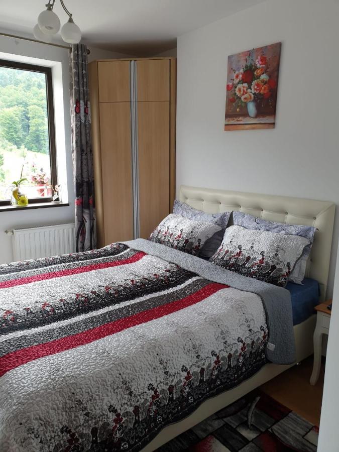 Sophie Apartament Apartament Sinaia Zewnętrze zdjęcie