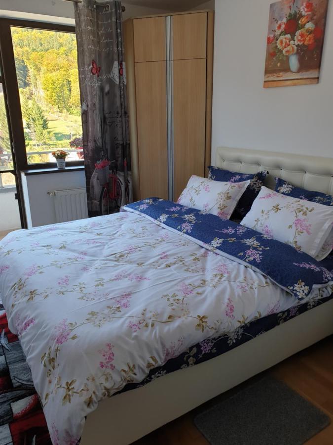 Sophie Apartament Apartament Sinaia Zewnętrze zdjęcie