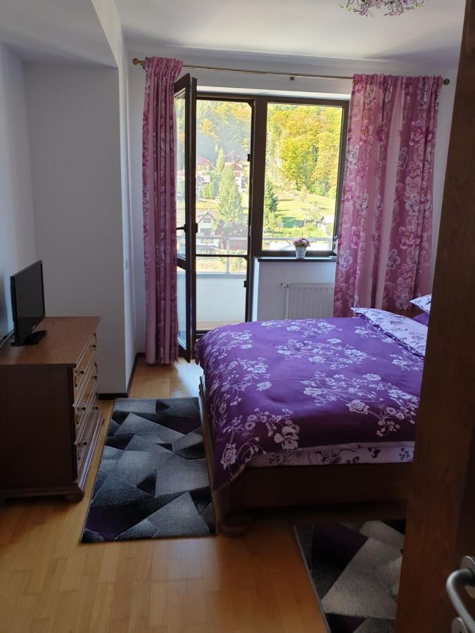 Sophie Apartament Apartament Sinaia Zewnętrze zdjęcie