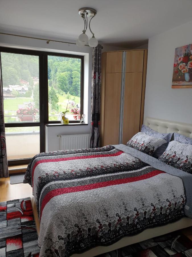 Sophie Apartament Apartament Sinaia Zewnętrze zdjęcie
