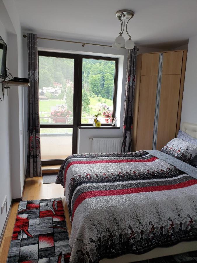 Sophie Apartament Apartament Sinaia Zewnętrze zdjęcie