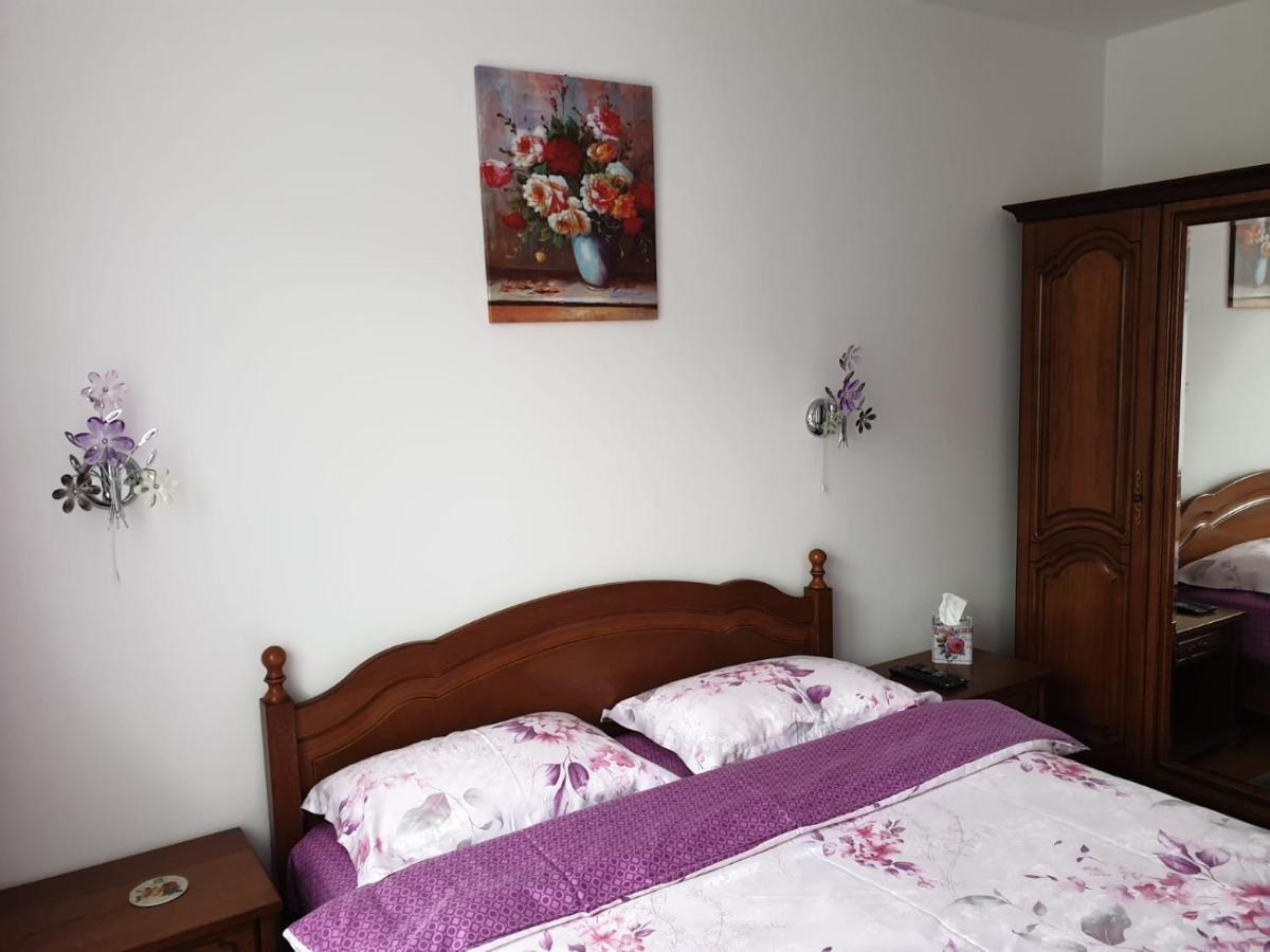 Sophie Apartament Apartament Sinaia Zewnętrze zdjęcie