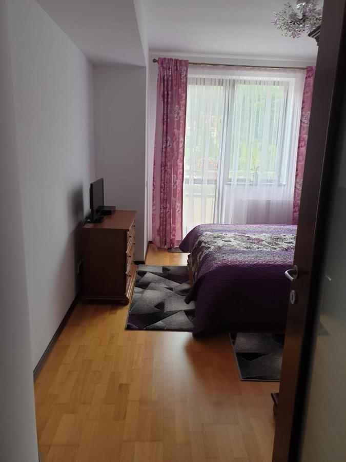 Sophie Apartament Apartament Sinaia Zewnętrze zdjęcie