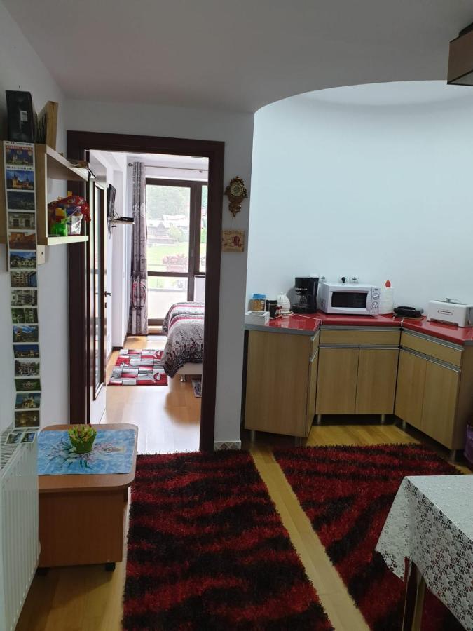 Sophie Apartament Apartament Sinaia Zewnętrze zdjęcie