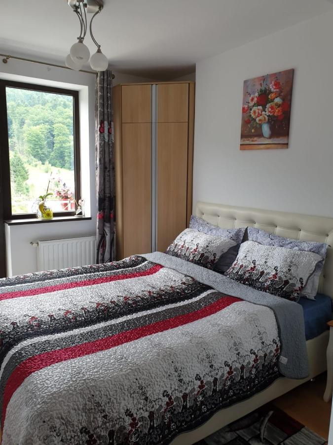 Sophie Apartament Apartament Sinaia Zewnętrze zdjęcie