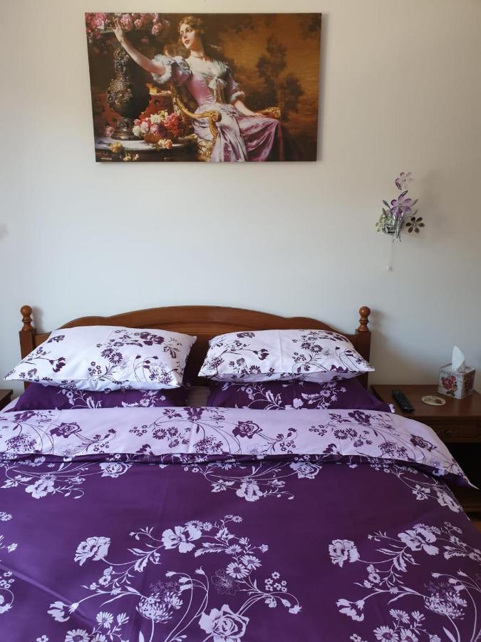 Sophie Apartament Apartament Sinaia Zewnętrze zdjęcie