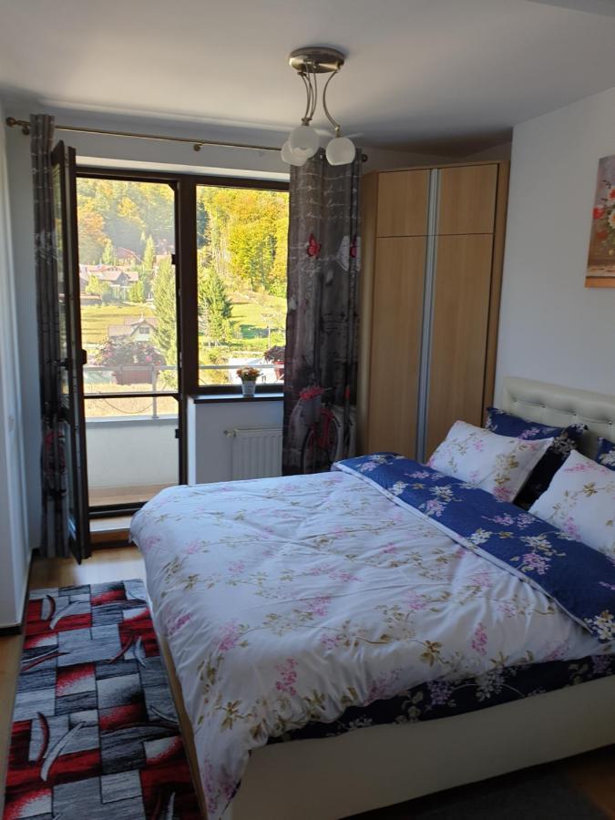 Sophie Apartament Apartament Sinaia Zewnętrze zdjęcie