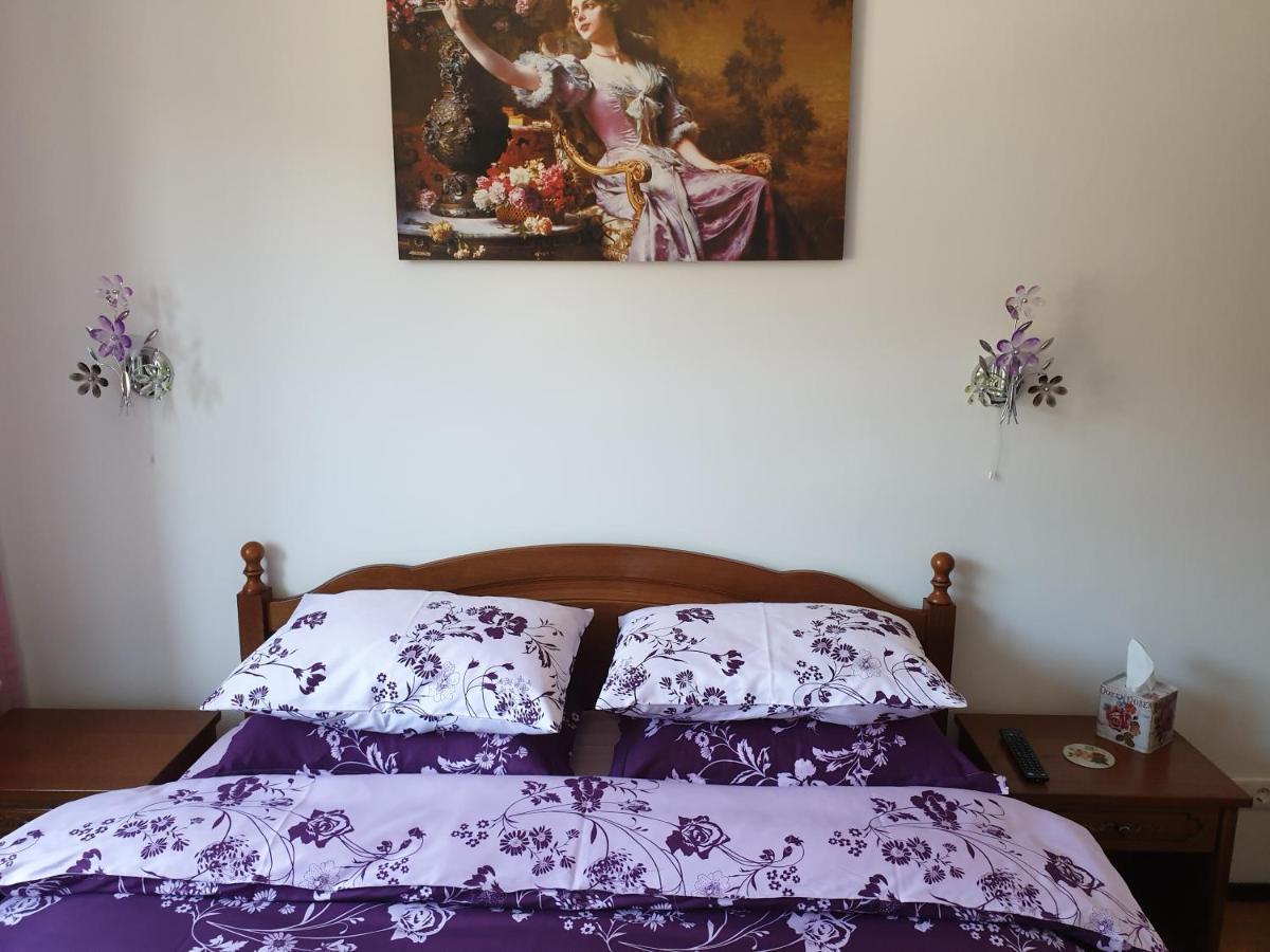 Sophie Apartament Apartament Sinaia Zewnętrze zdjęcie