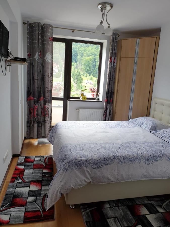 Sophie Apartament Apartament Sinaia Zewnętrze zdjęcie