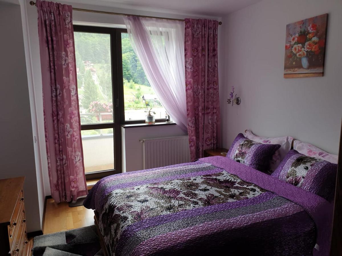 Sophie Apartament Apartament Sinaia Zewnętrze zdjęcie